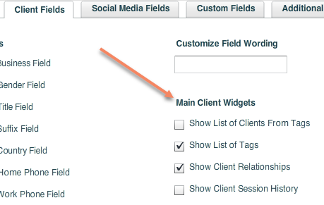 main_client_widgets.png