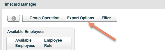 export_options.png